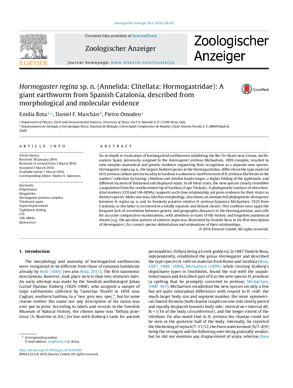 Hormogaster regina sp. n. (Annelida: Clitellata: Hormogastridae): A giant earthworm from Spanish Catalonia, described from morphological and molecular evidence