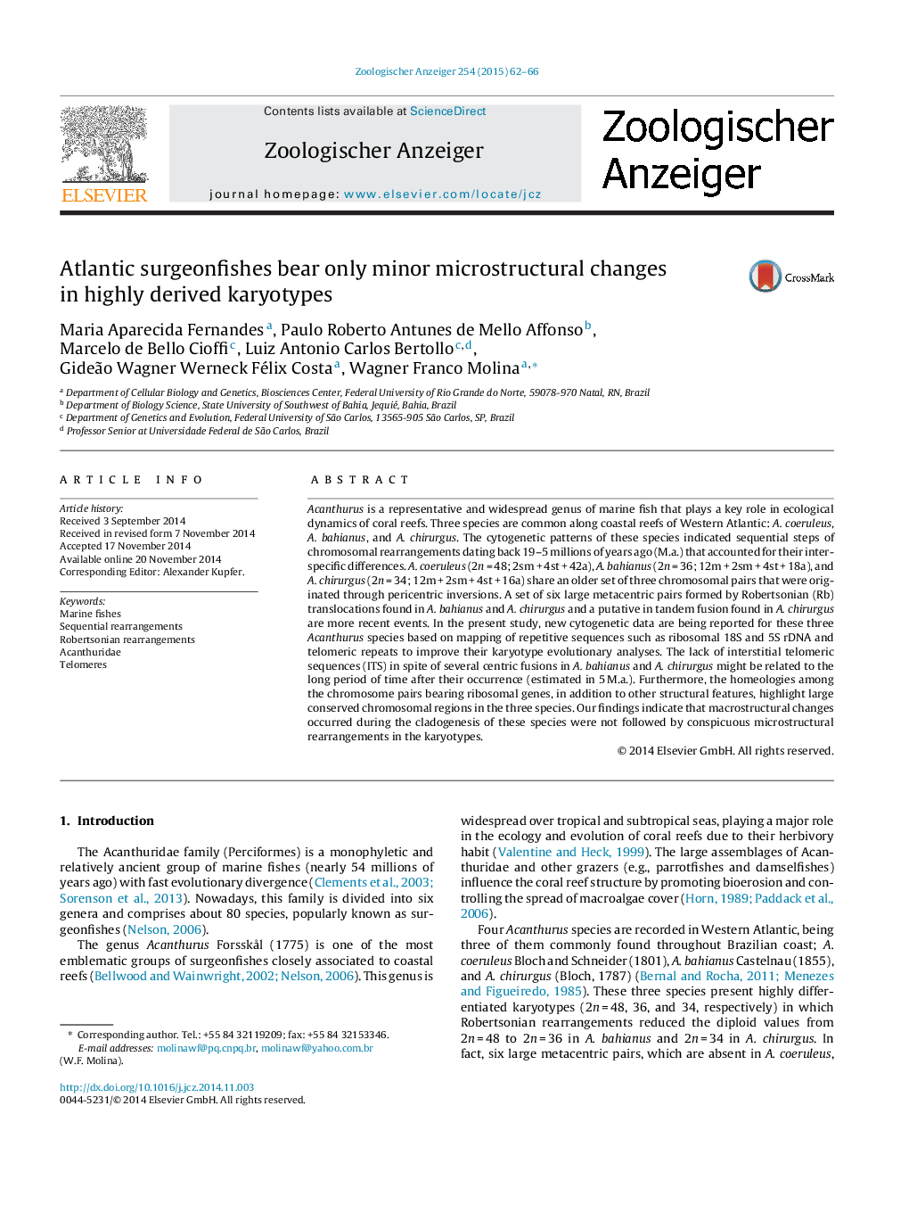 Atlantic surgeonfishes bear only minor microstructural changes in highly derived karyotypes