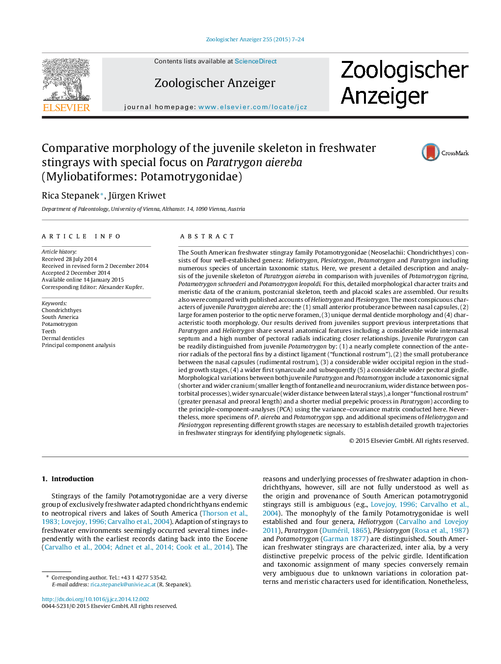 Comparative morphology of the juvenile skeleton in freshwater stingrays with special focus on Paratrygon aiereba (Myliobatiformes: Potamotrygonidae)