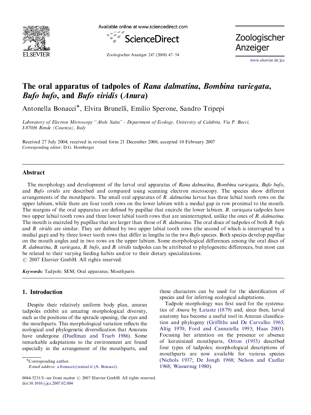 The oral apparatus of tadpoles of Rana dalmatina, Bombina variegata, Bufo bufo, and Bufo viridis (Anura)