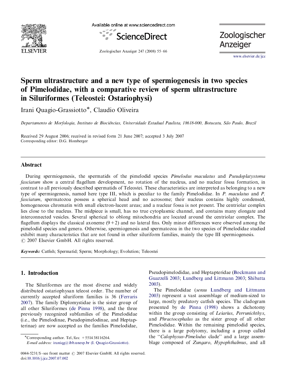 Sperm ultrastructure and a new type of spermiogenesis in two species of Pimelodidae, with a comparative review of sperm ultrastructure in Siluriformes (Teleostei: Ostariophysi)