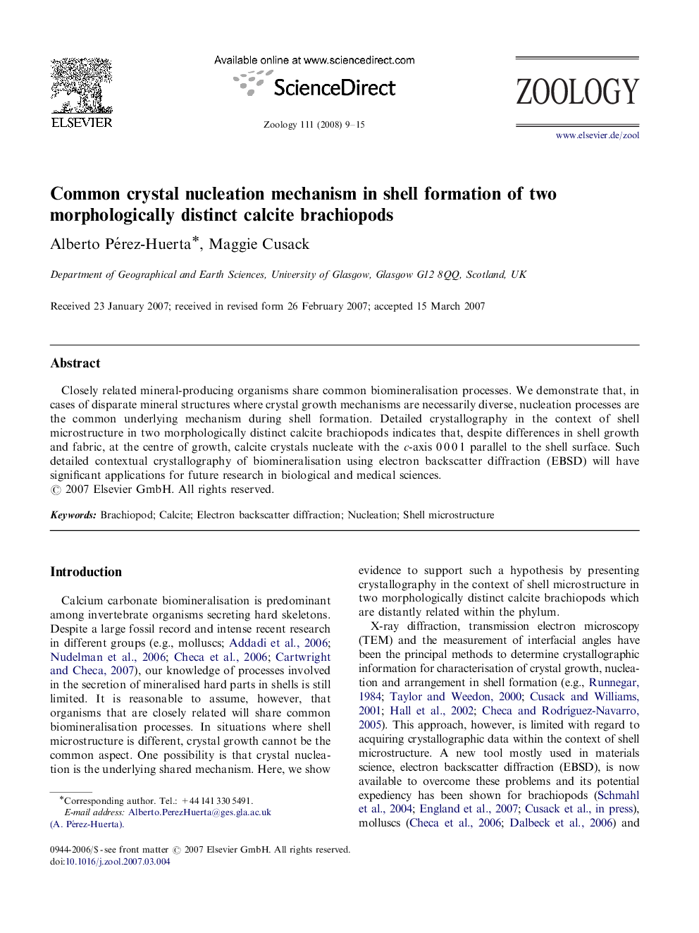 Common crystal nucleation mechanism in shell formation of two morphologically distinct calcite brachiopods