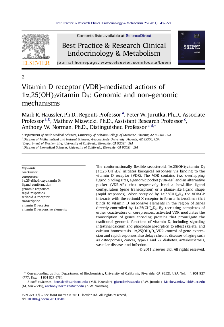 عکس صفحه اول مقاله: Vitamin D receptor (VDR)-mediated actions of 1α,25(OH)2vitamin D3: Genomic and non-genomic mechanisms Vitamin D receptor (VDR)-mediated actions of 1α,25(OH)2vitamin D3: Genomic and non-genomic mechanisms