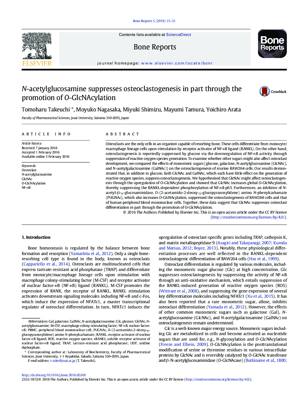 N-acetylglucosamine suppresses osteoclastogenesis in part through the promotion of O-GlcNAcylation