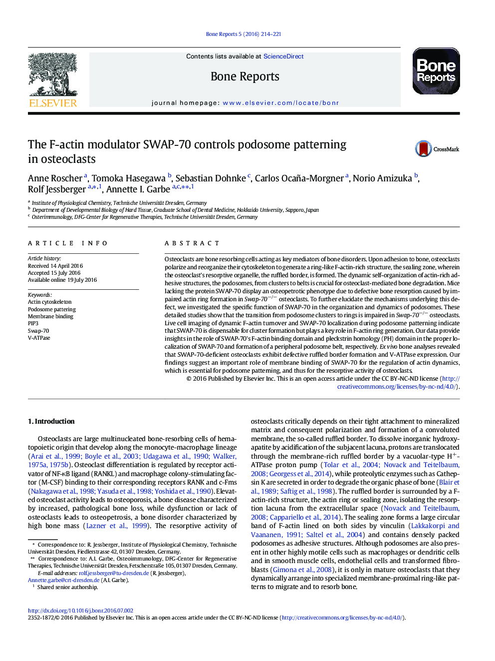 The F-actin modulator SWAP-70 controls podosome patterning in osteoclasts