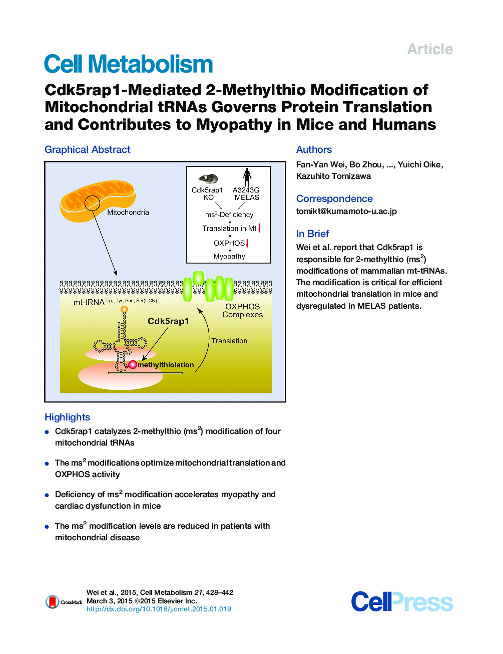 عکس صفحه اول مقاله: Cdk5rap1-Mediated 2-Methylthio Modification of Mitochondrial tRNAs Governs Protein Translation and Contributes to Myopathy in Mice and Humans Cdk5rap1-Mediated 2-Methylthio Modification of Mitochondrial tRNAs Governs Protein Translation and Contributes to Myopathy in Mice and Humans