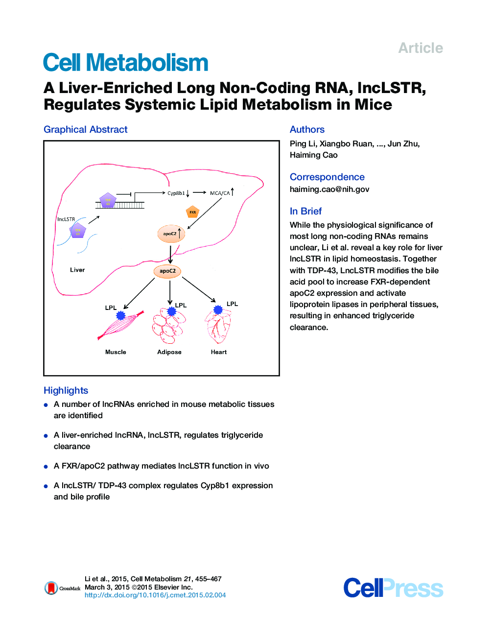 A Liver-Enriched Long Non-Coding RNA, lncLSTR, Regulates Systemic Lipid Metabolism in Mice