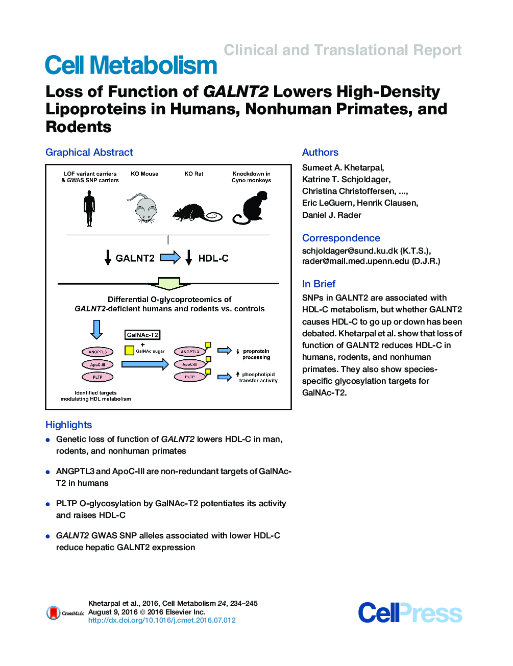 Loss of Function of GALNT2 Lowers High-Density Lipoproteins in Humans, Nonhuman Primates, and Rodents