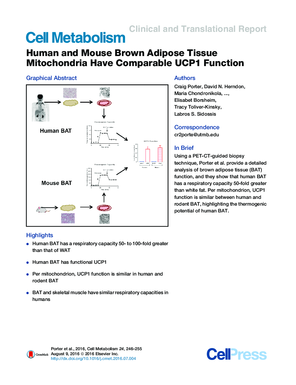 Human and Mouse Brown Adipose Tissue Mitochondria Have Comparable UCP1 Function