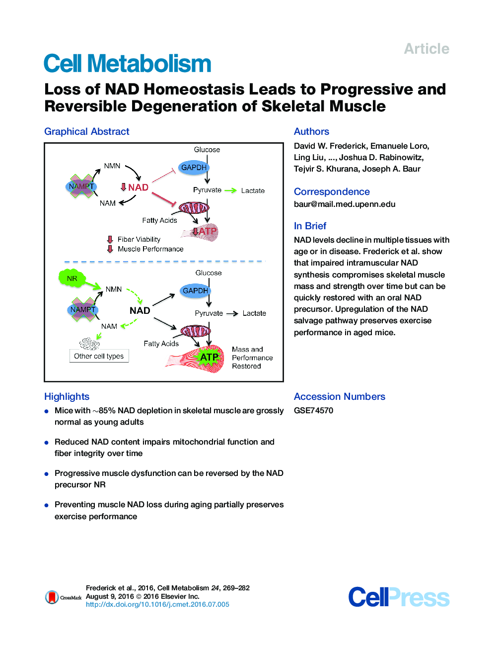 Loss of NAD Homeostasis Leads to Progressive and Reversible Degeneration of Skeletal Muscle