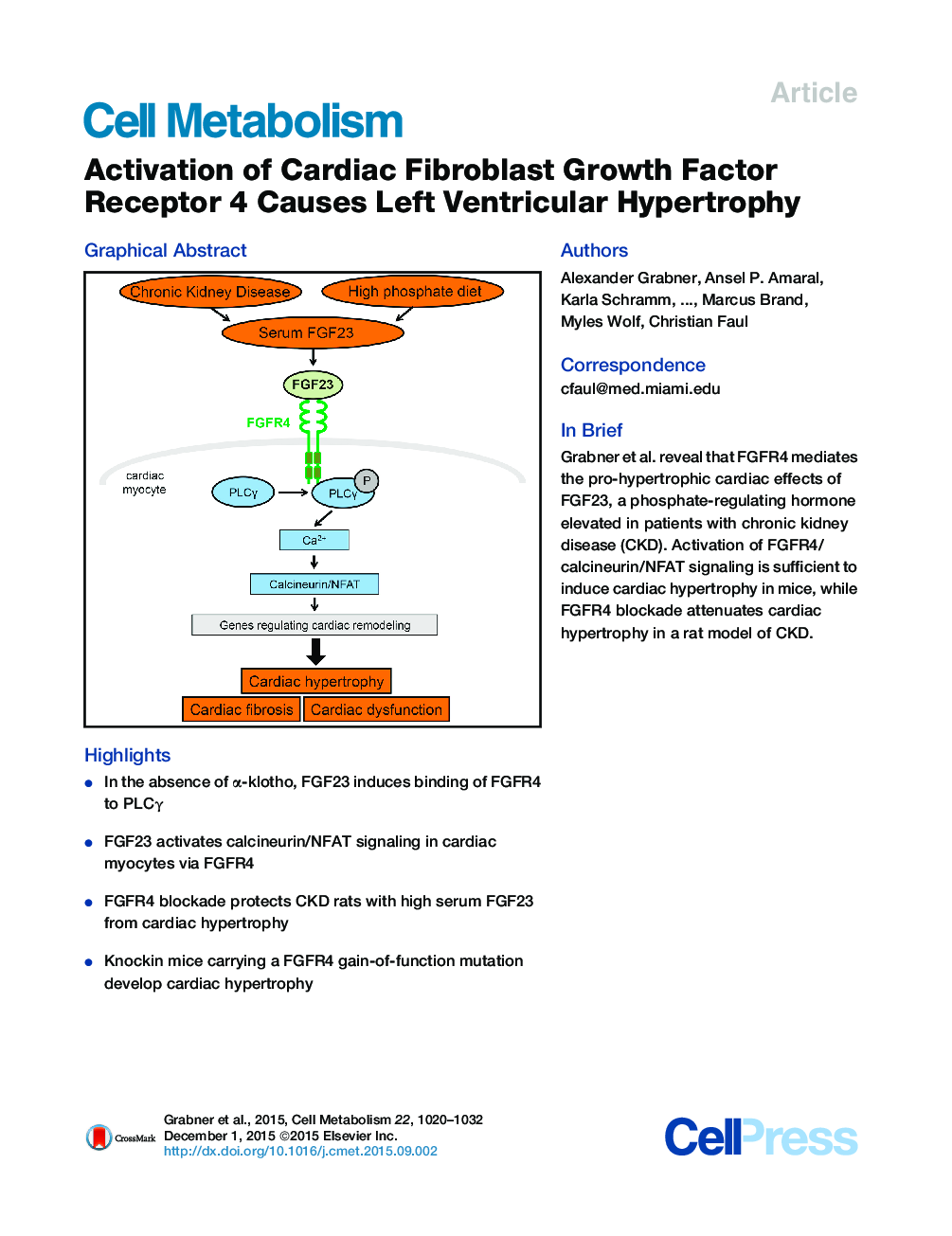 Activation of Cardiac Fibroblast Growth Factor Receptor 4 Causes Left Ventricular Hypertrophy