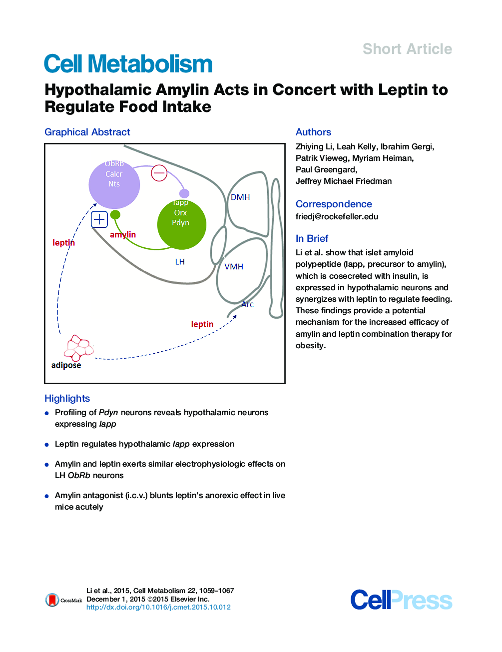 Hypothalamic Amylin Acts in Concert with Leptin to Regulate Food Intake