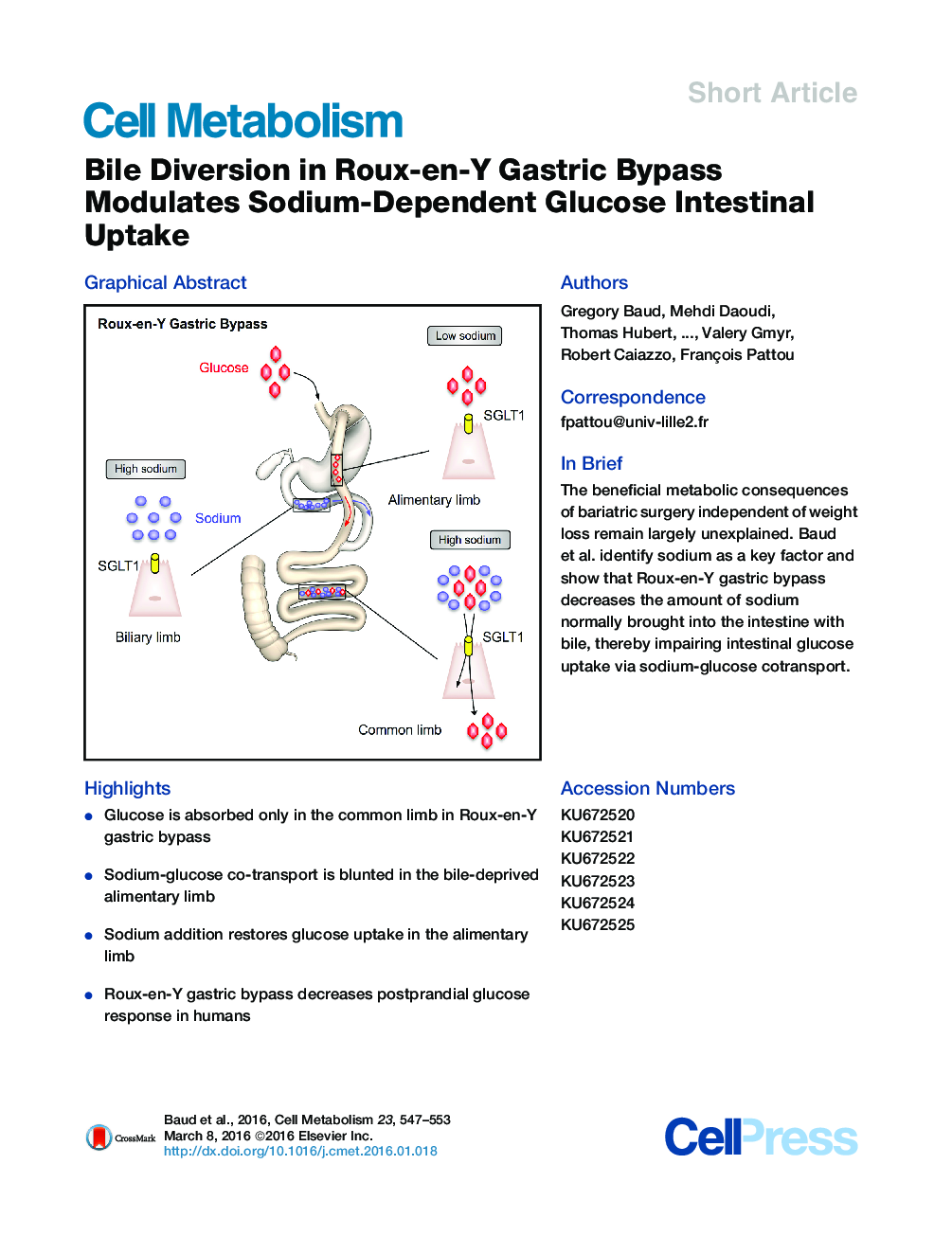 Bile Diversion in Roux-en-Y Gastric Bypass Modulates Sodium-Dependent Glucose Intestinal Uptake