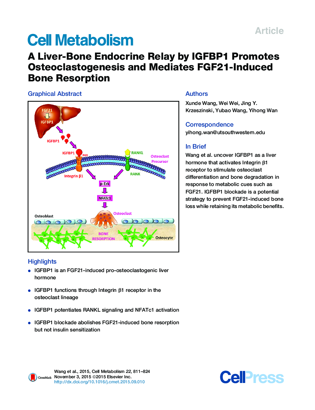 عکس صفحه اول مقاله: A Liver-Bone Endocrine Relay by IGFBP1 Promotes Osteoclastogenesis and Mediates FGF21-Induced Bone Resorption A Liver-Bone Endocrine Relay by IGFBP1 Promotes Osteoclastogenesis and Mediates FGF21-Induced Bone Resorption