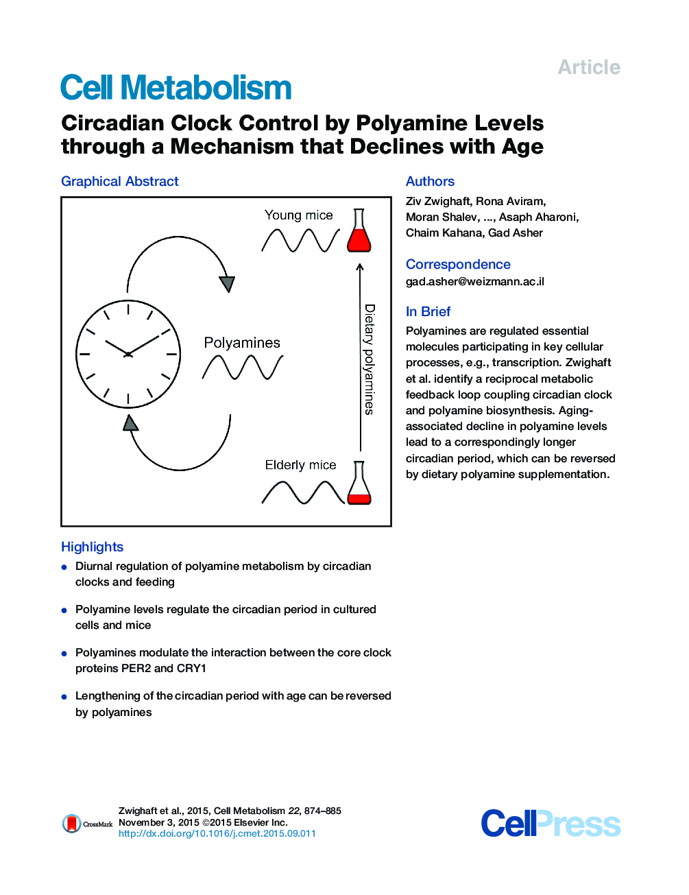 Circadian Clock Control by Polyamine Levels through a Mechanism that Declines with Age