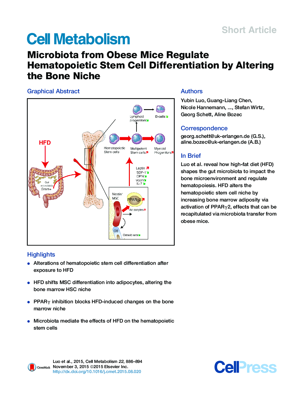 Microbiota from Obese Mice Regulate Hematopoietic Stem Cell Differentiation by Altering the Bone Niche