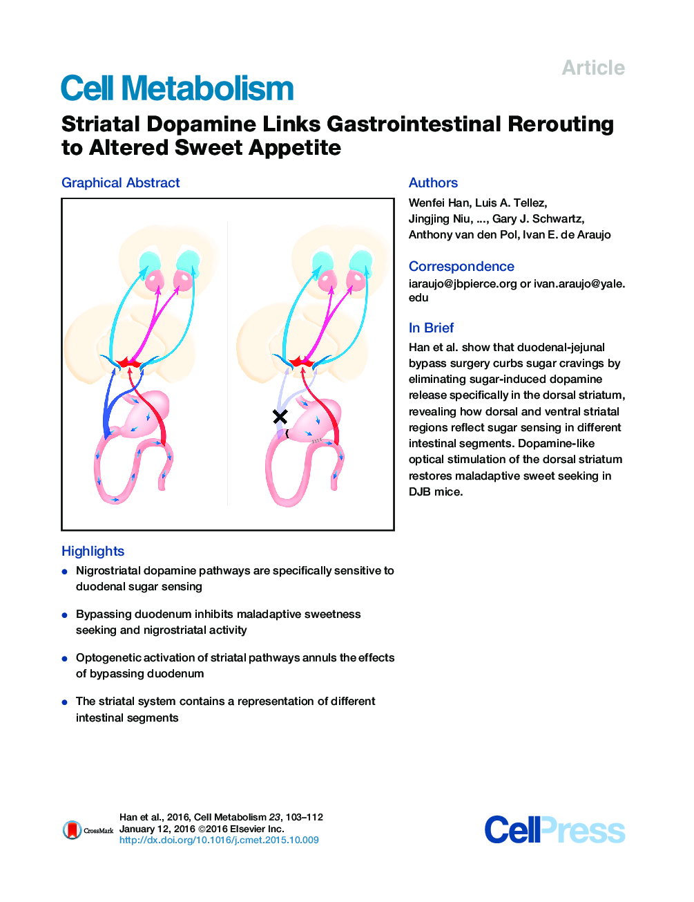 Striatal Dopamine Links Gastrointestinal Rerouting to Altered Sweet Appetite