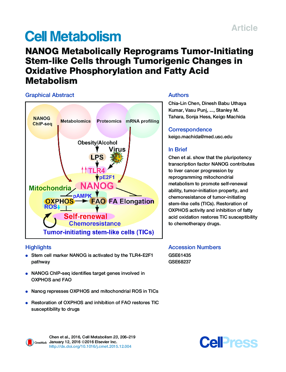 NANOG Metabolically Reprograms Tumor-Initiating Stem-like Cells through Tumorigenic Changes in Oxidative Phosphorylation and Fatty Acid Metabolism