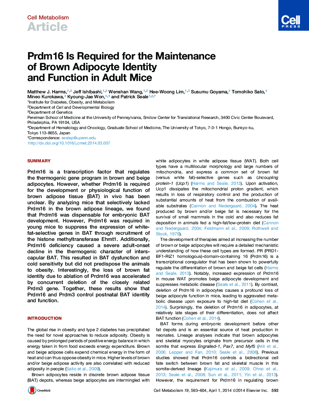 Prdm16 Is Required for the Maintenance of Brown Adipocyte Identity and Function in Adult Mice