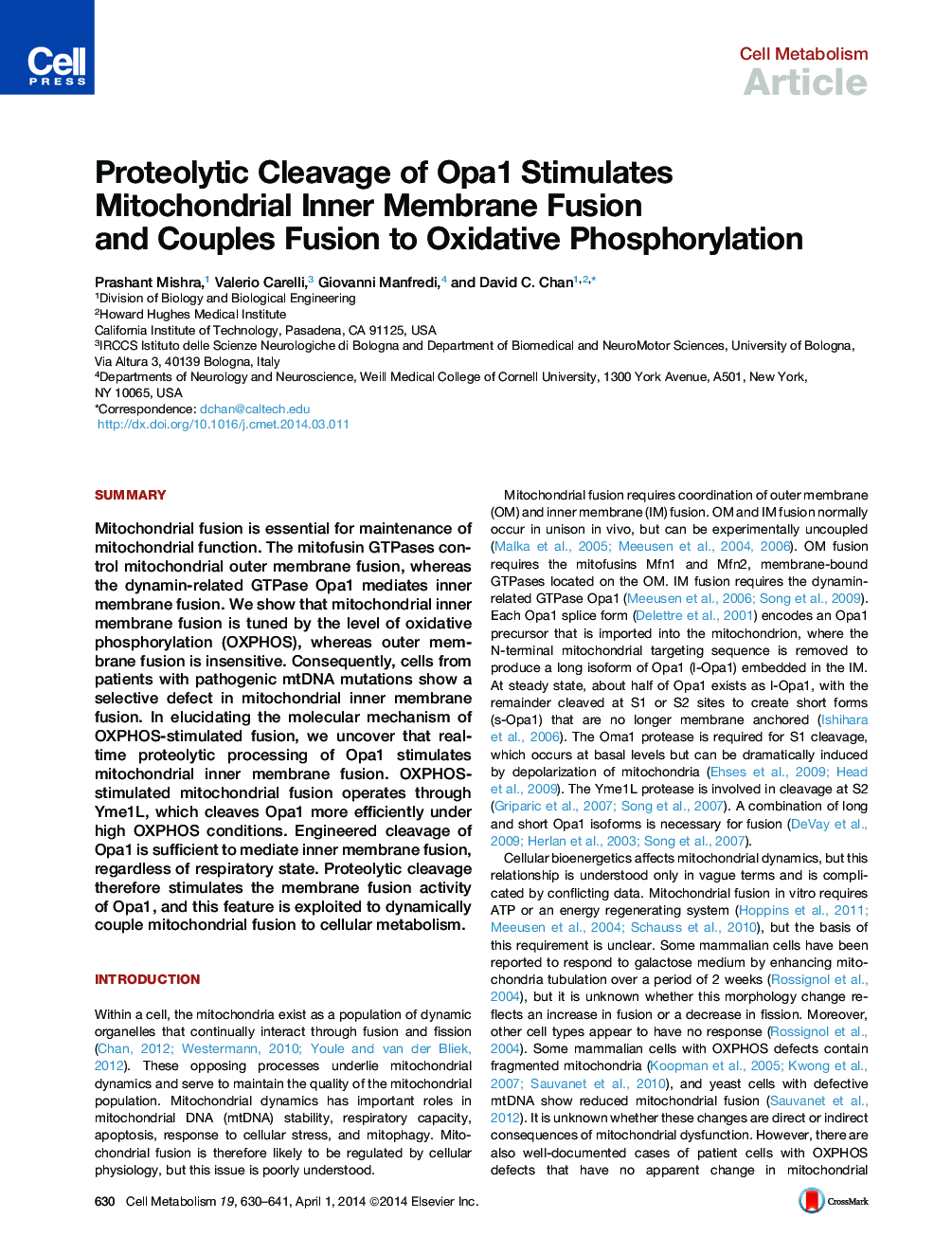 Proteolytic Cleavage of Opa1 Stimulates Mitochondrial Inner Membrane Fusion and Couples Fusion to Oxidative Phosphorylation