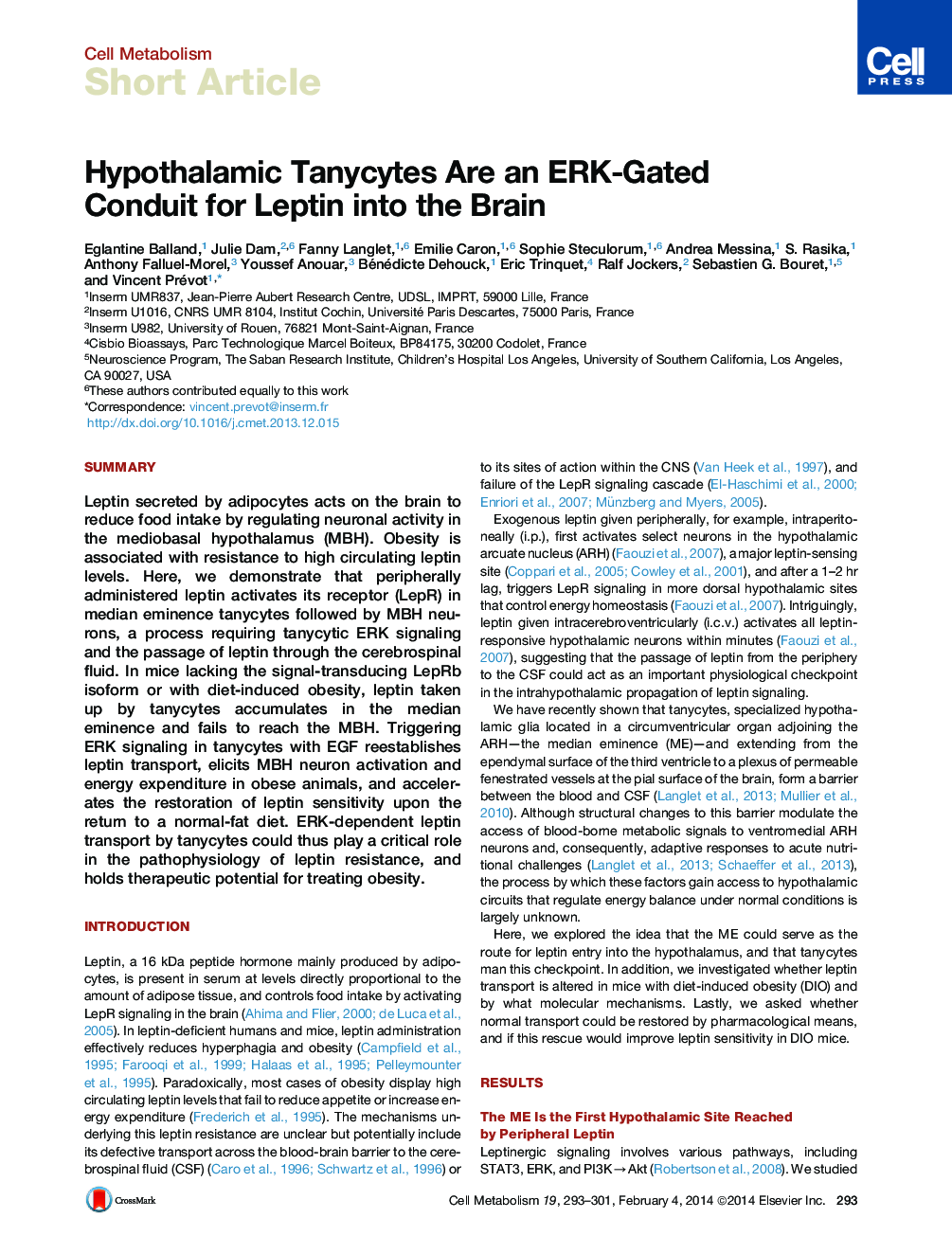 Hypothalamic Tanycytes Are an ERK-Gated Conduit for Leptin into the Brain
