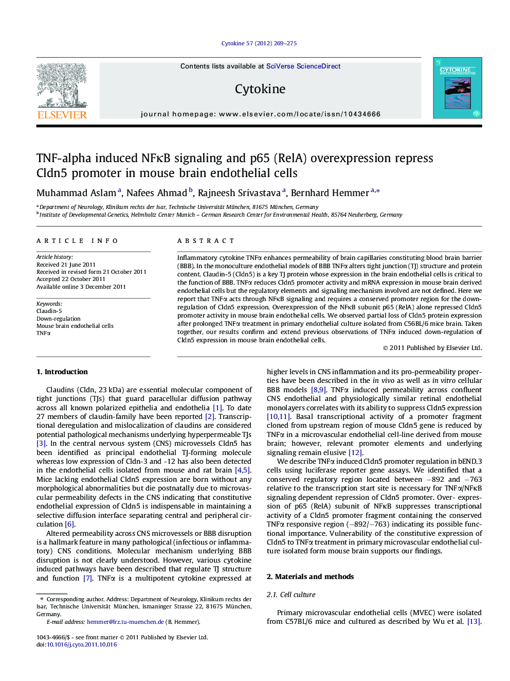 TNF-alpha induced NFκB signaling and p65 (RelA) overexpression repress Cldn5 promoter in mouse brain endothelial cells