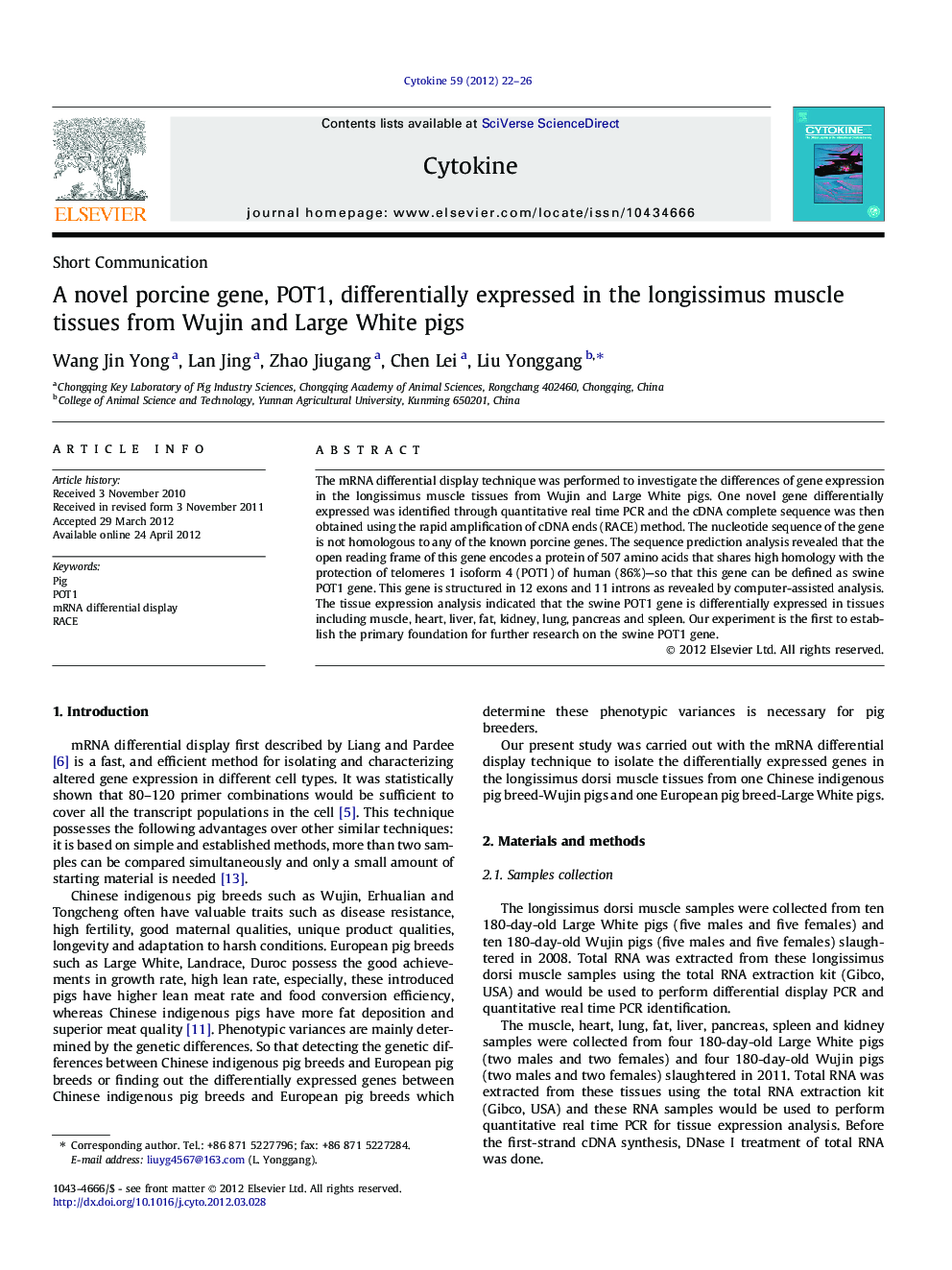 A novel porcine gene, POT1, differentially expressed in the longissimus muscle tissues from Wujin and Large White pigs