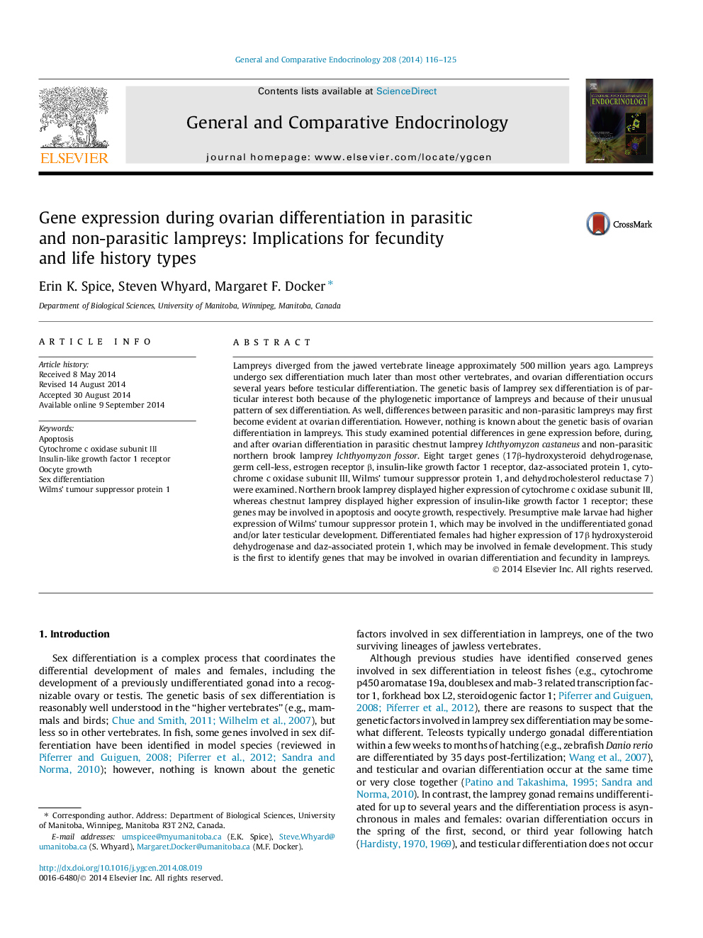 Gene expression during ovarian differentiation in parasitic and non-parasitic lampreys: Implications for fecundity and life history types