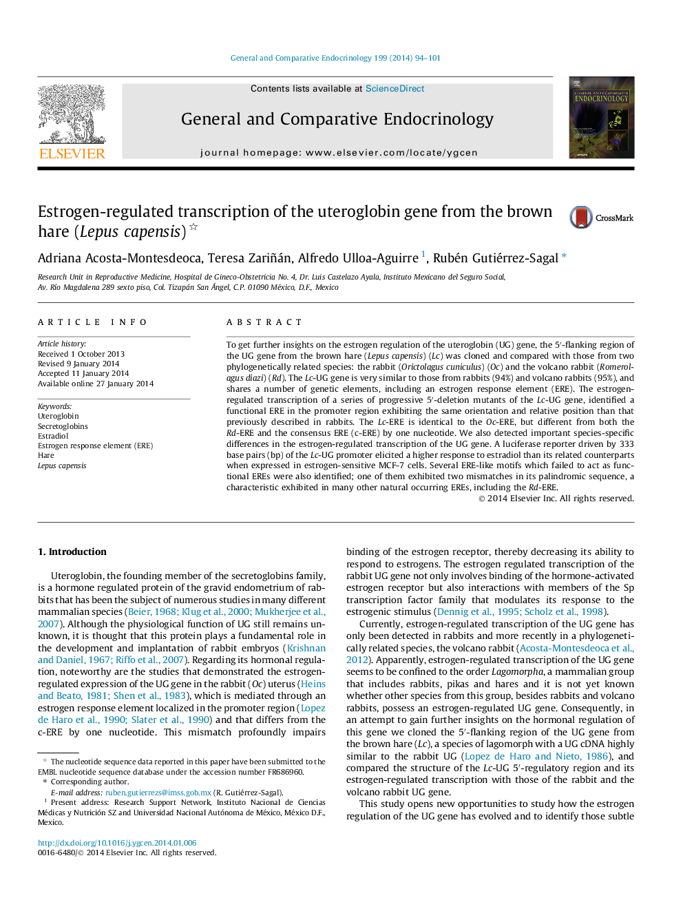 Estrogen-regulated transcription of the uteroglobin gene from the brown hare (Lepus capensis) 