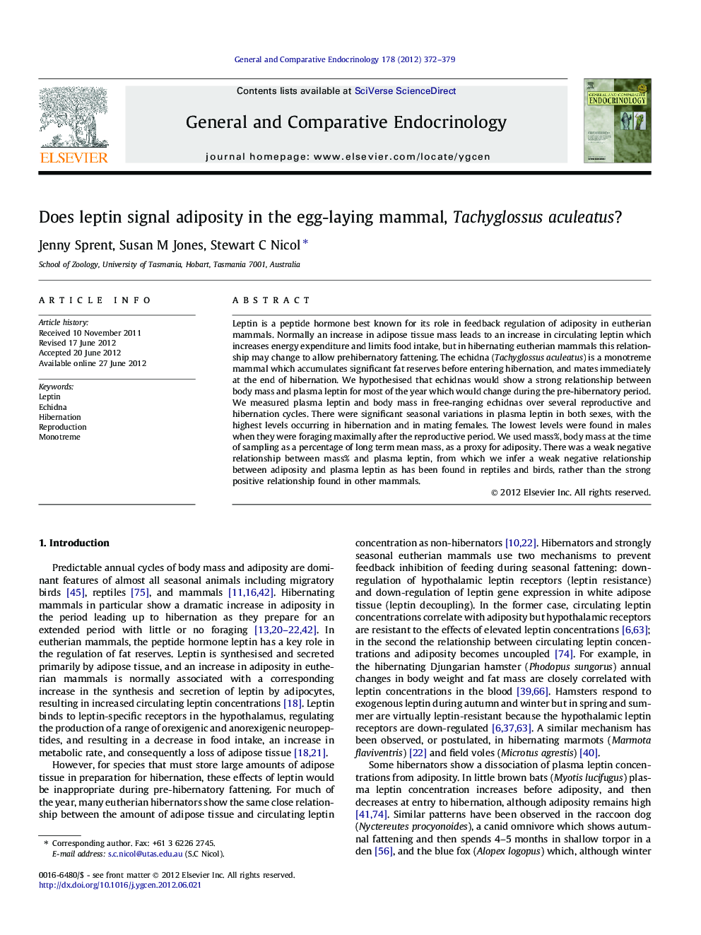 Does leptin signal adiposity in the egg-laying mammal, Tachyglossus aculeatus?