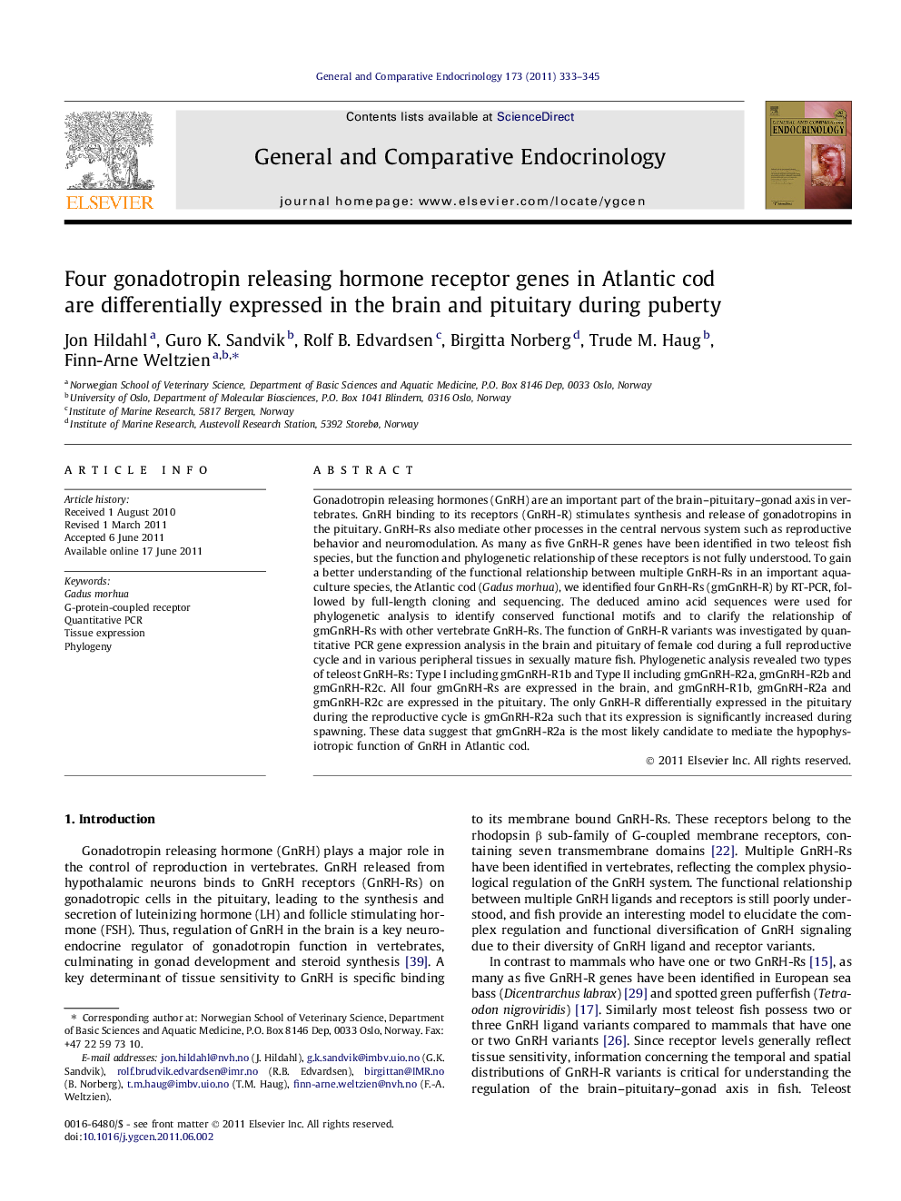 Four gonadotropin releasing hormone receptor genes in Atlantic cod are differentially expressed in the brain and pituitary during puberty