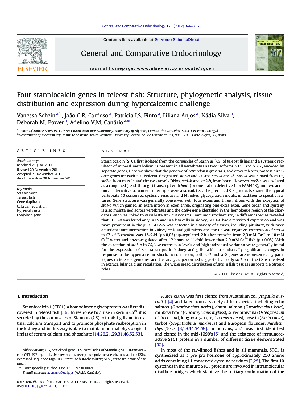 Four stanniocalcin genes in teleost fish: Structure, phylogenetic analysis, tissue distribution and expression during hypercalcemic challenge