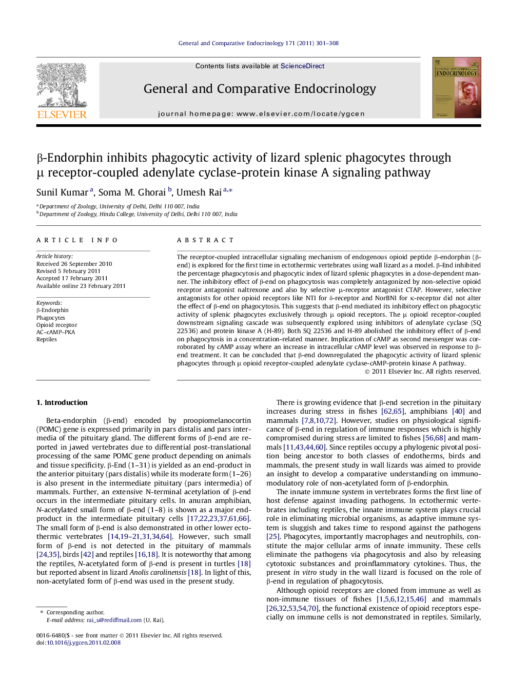 β-Endorphin inhibits phagocytic activity of lizard splenic phagocytes through μ receptor-coupled adenylate cyclase-protein kinase A signaling pathway