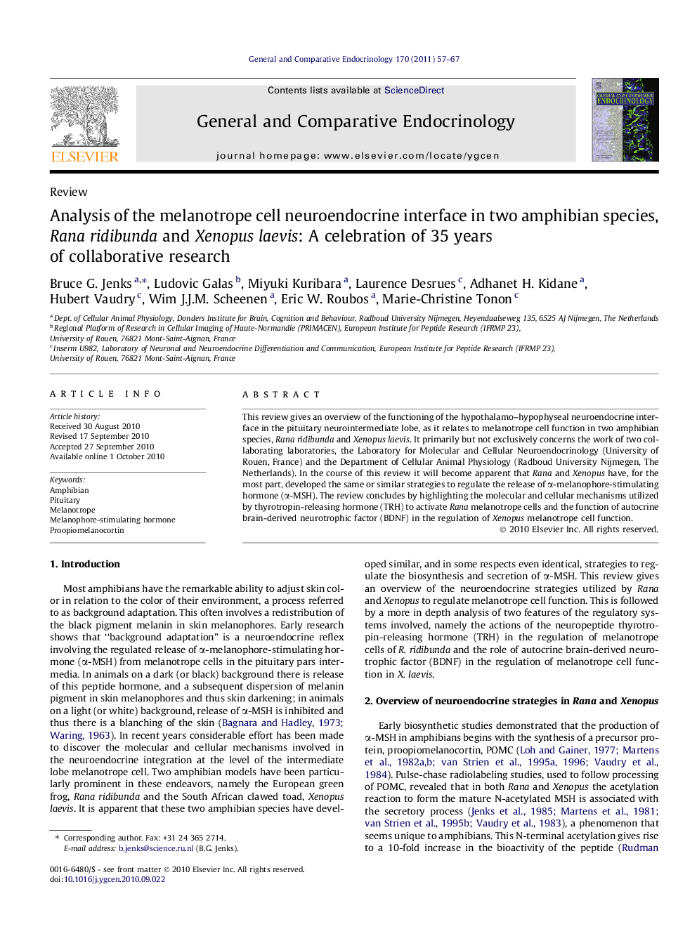 Analysis of the melanotrope cell neuroendocrine interface in two amphibian species, Rana ridibunda and Xenopus laevis: A celebration of 35 years of collaborative research