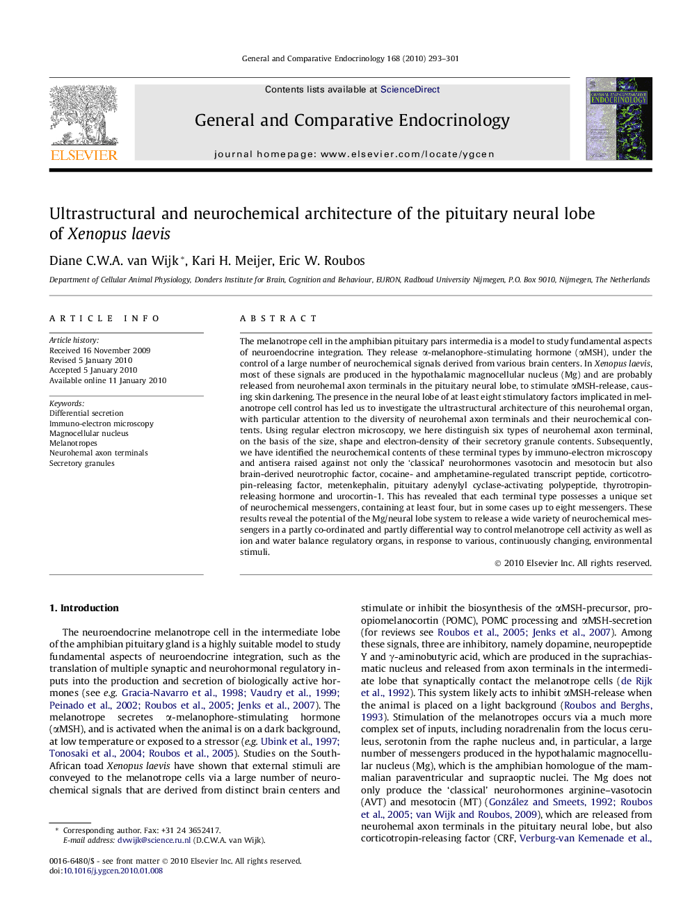 Ultrastructural and neurochemical architecture of the pituitary neural lobe of Xenopus laevis