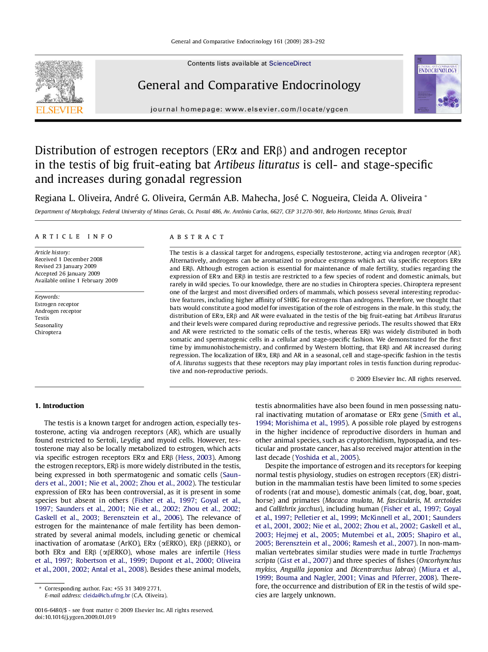 Distribution of estrogen receptors (ERα and ERβ) and androgen receptor in the testis of big fruit-eating bat Artibeus lituratus is cell- and stage-specific and increases during gonadal regression