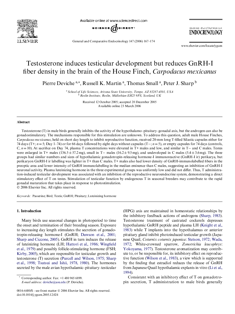 Testosterone induces testicular development but reduces GnRH-I fiber density in the brain of the House Finch, Carpodacus mexicanus