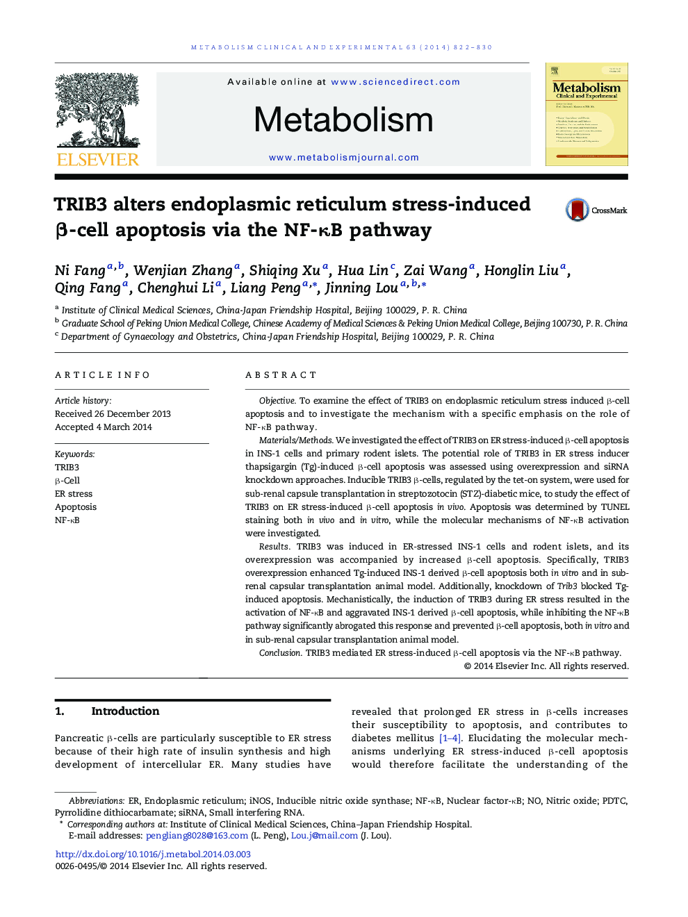 TRIB3 alters endoplasmic reticulum stress-induced β-cell apoptosis via the NF-κB pathway