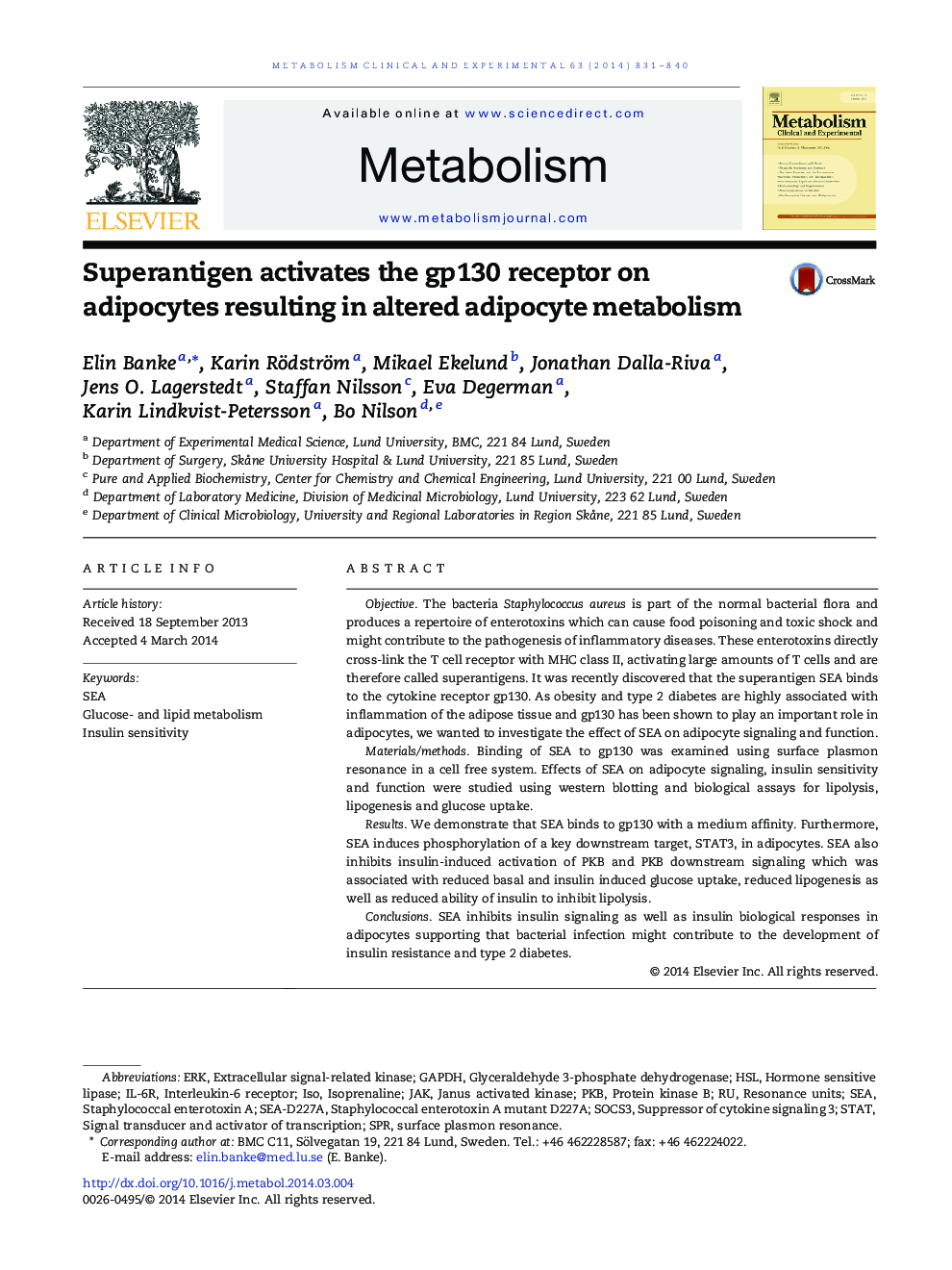 Superantigen activates the gp130 receptor on adipocytes resulting in altered adipocyte metabolism
