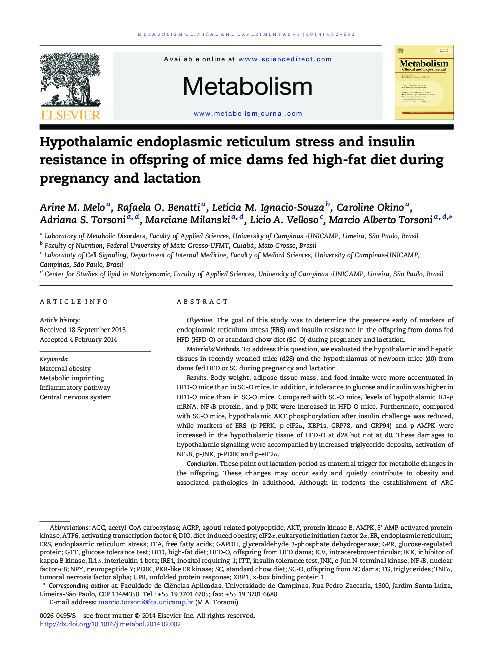 استرس انسولین اندوپلاسمی هیپوتالامم و مقاومت انسولین در پسران موش سوری که در دوران بارداری و شیردهی تغذیه می شوند 