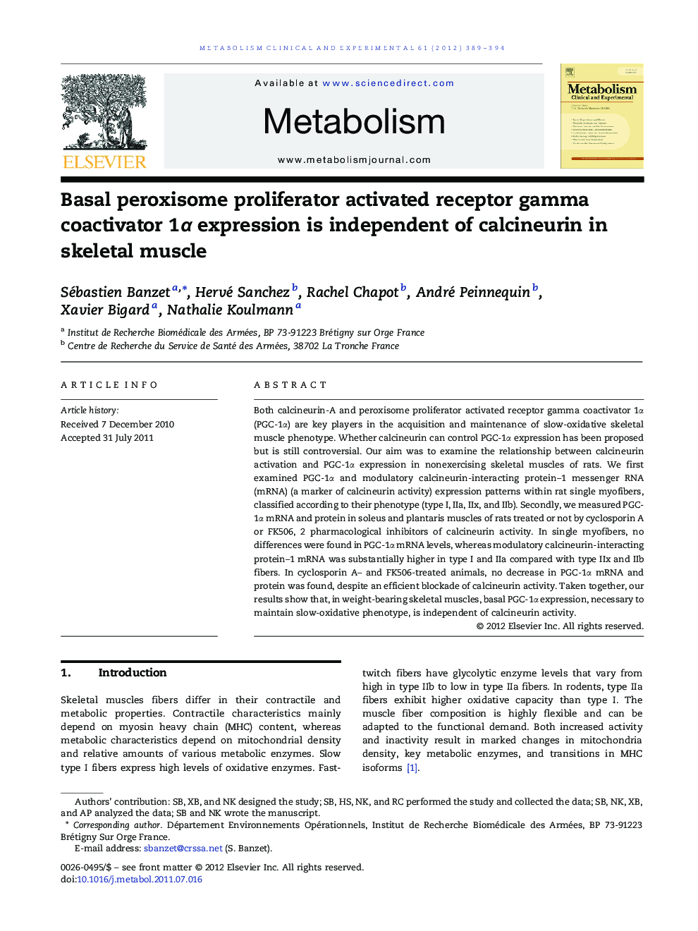 Basal peroxisome proliferator activated receptor gamma coactivator 1α expression is independent of calcineurin in skeletal muscle 