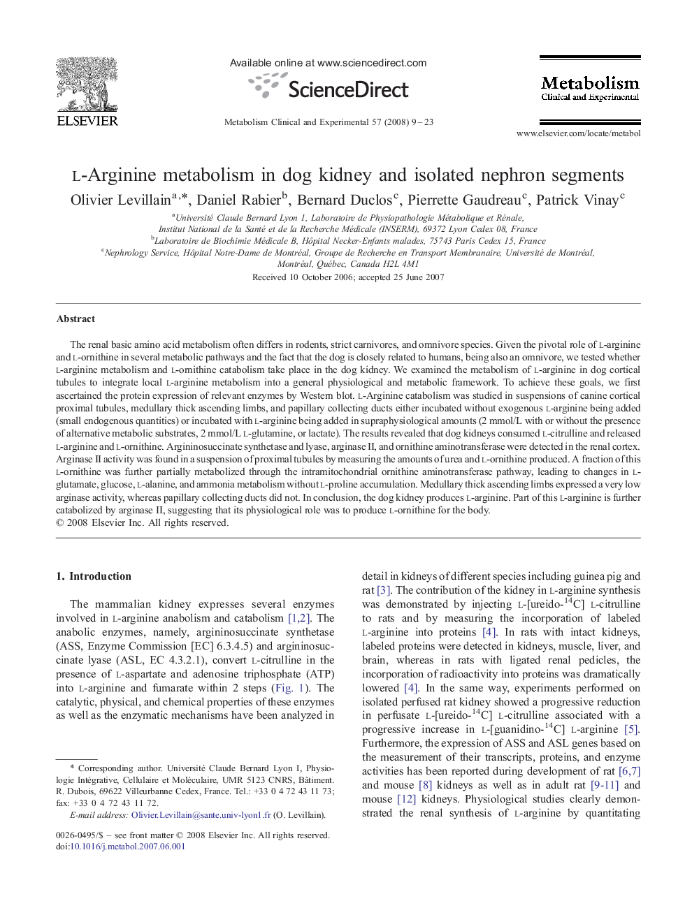 l-Arginine metabolism in dog kidney and isolated nephron segments