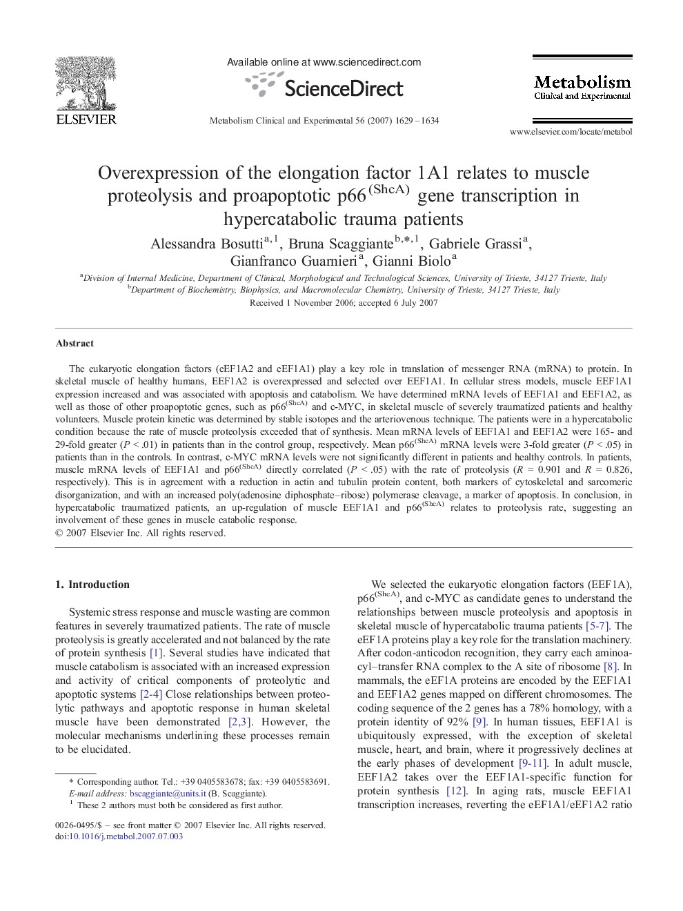 Overexpression of the elongation factor 1A1 relates to muscle proteolysis and proapoptotic p66(ShcA) gene transcription in hypercatabolic trauma patients