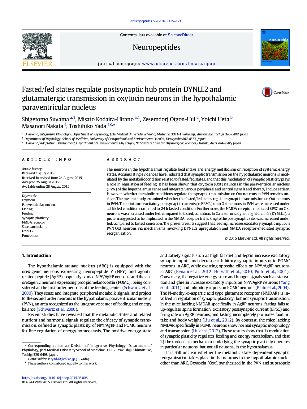 Fasted/fed states regulate postsynaptic hub protein DYNLL2 and glutamatergic transmission in oxytocin neurons in the hypothalamic paraventricular nucleus