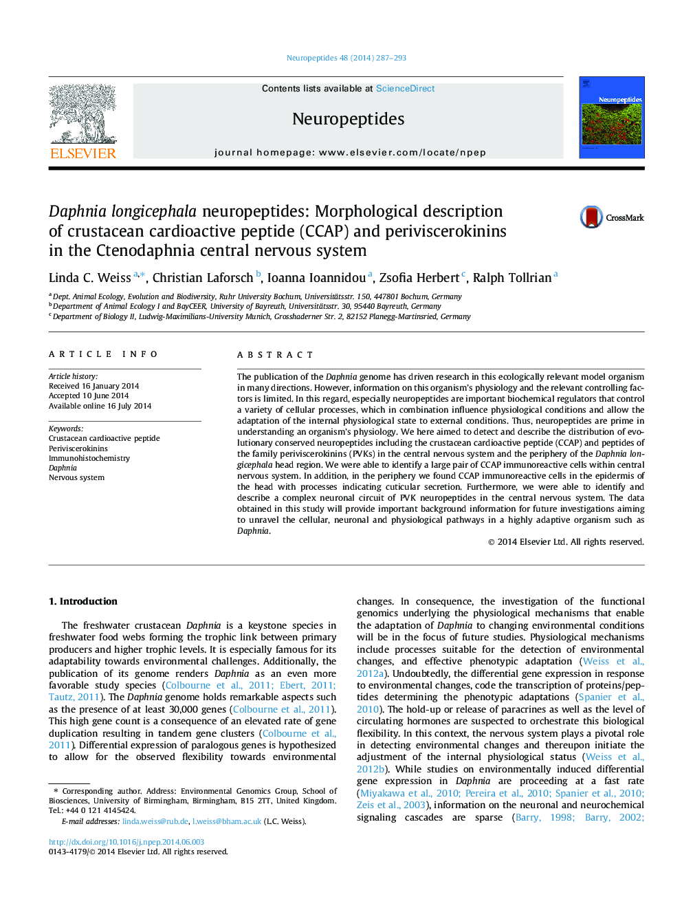 Daphnia longicephala neuropeptides: Morphological description of crustacean cardioactive peptide (CCAP) and periviscerokinins in the Ctenodaphnia central nervous system