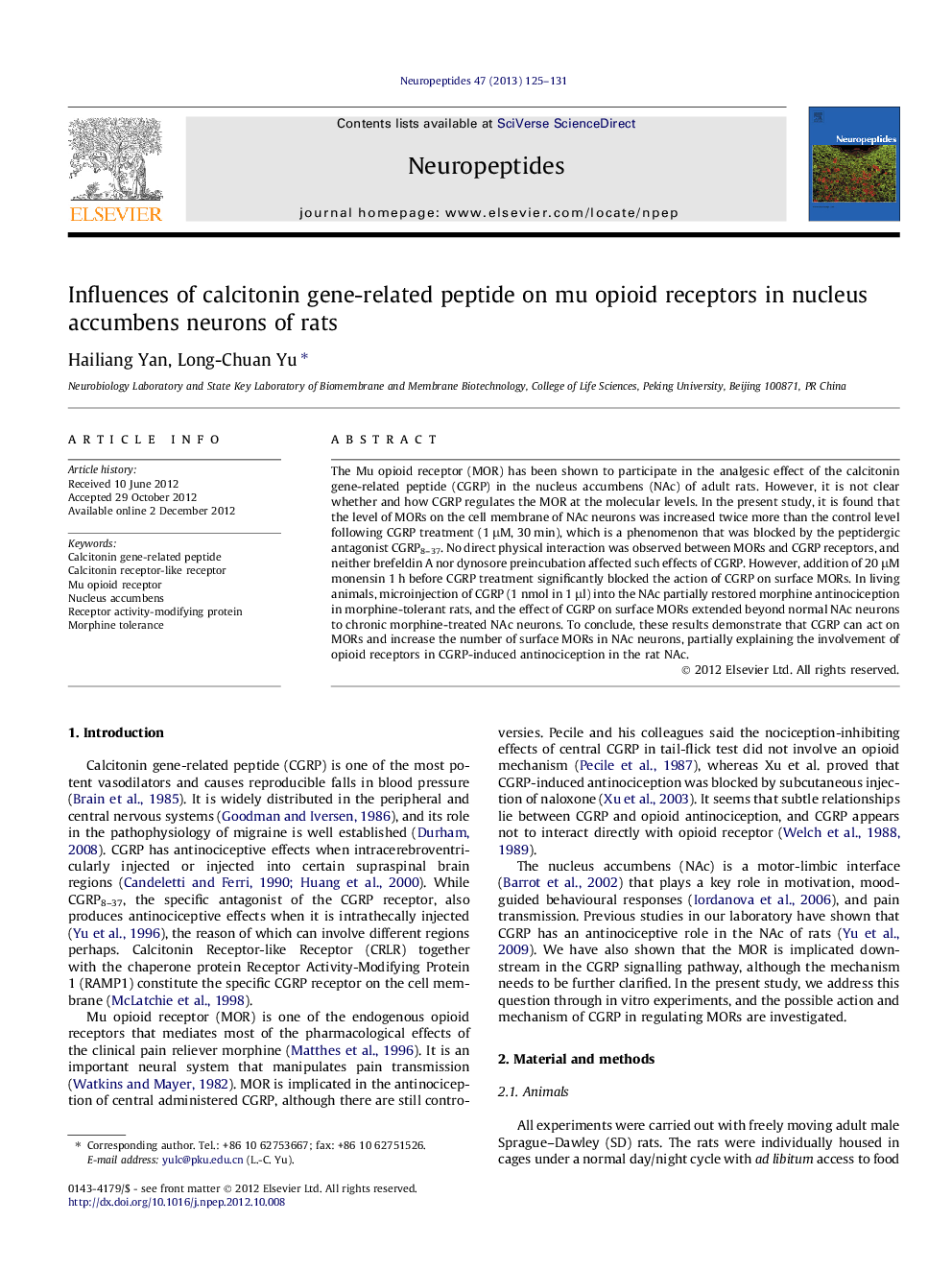 Influences of calcitonin gene-related peptide on mu opioid receptors in nucleus accumbens neurons of rats