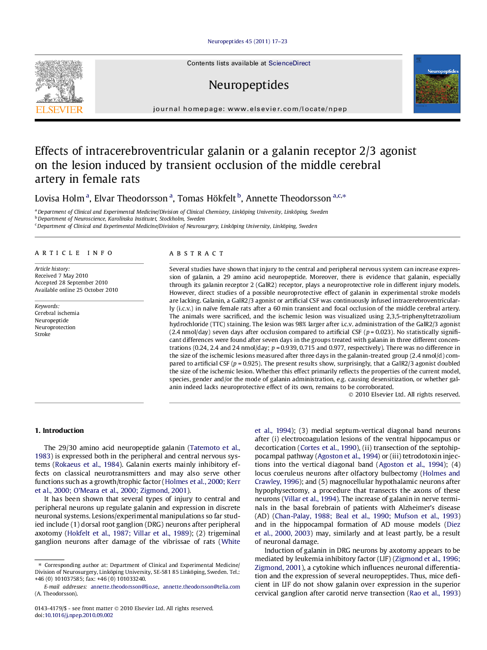 Effects of intracerebroventricular galanin or a galanin receptor 2/3 agonist on the lesion induced by transient occlusion of the middle cerebral artery in female rats