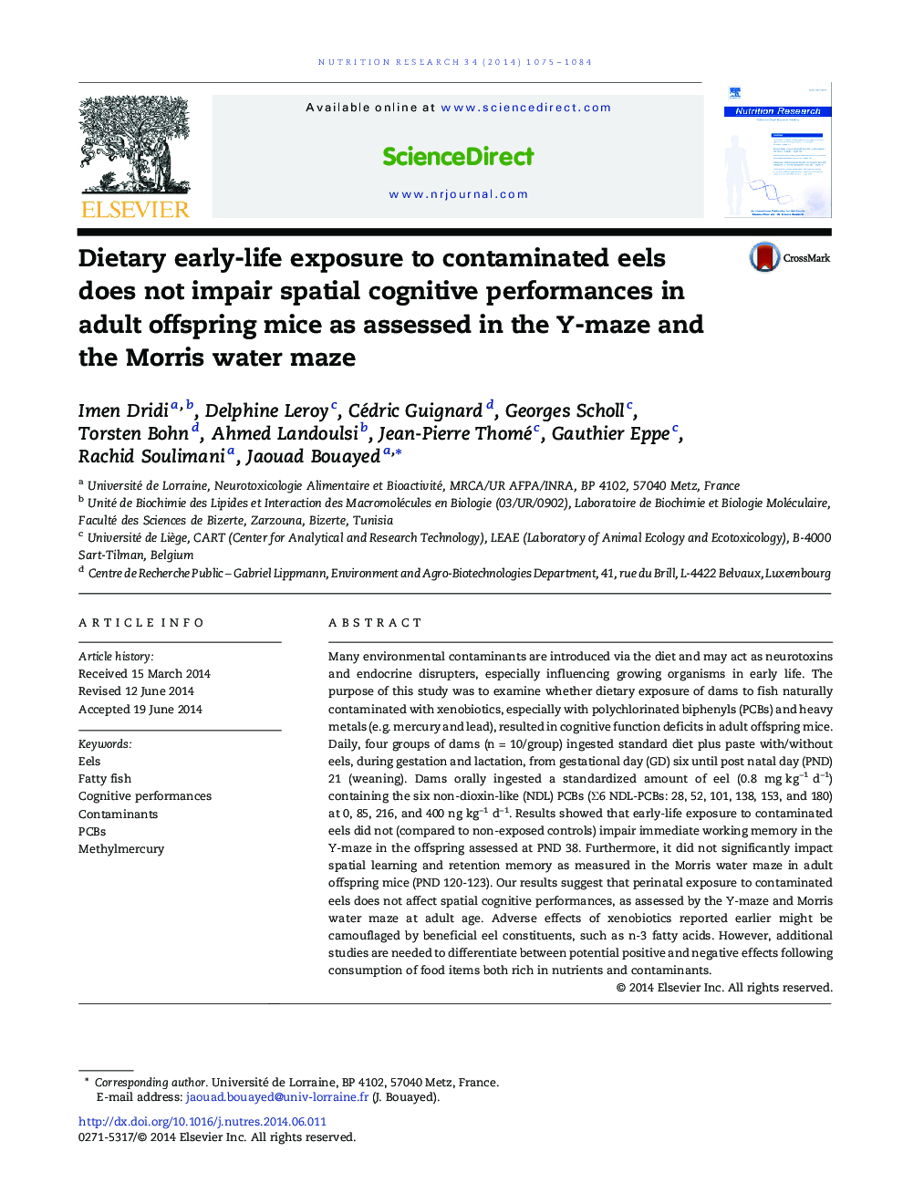 Dietary early-life exposure to contaminated eels does not impair spatial cognitive performances in adult offspring mice as assessed in the Y-maze and the Morris water maze