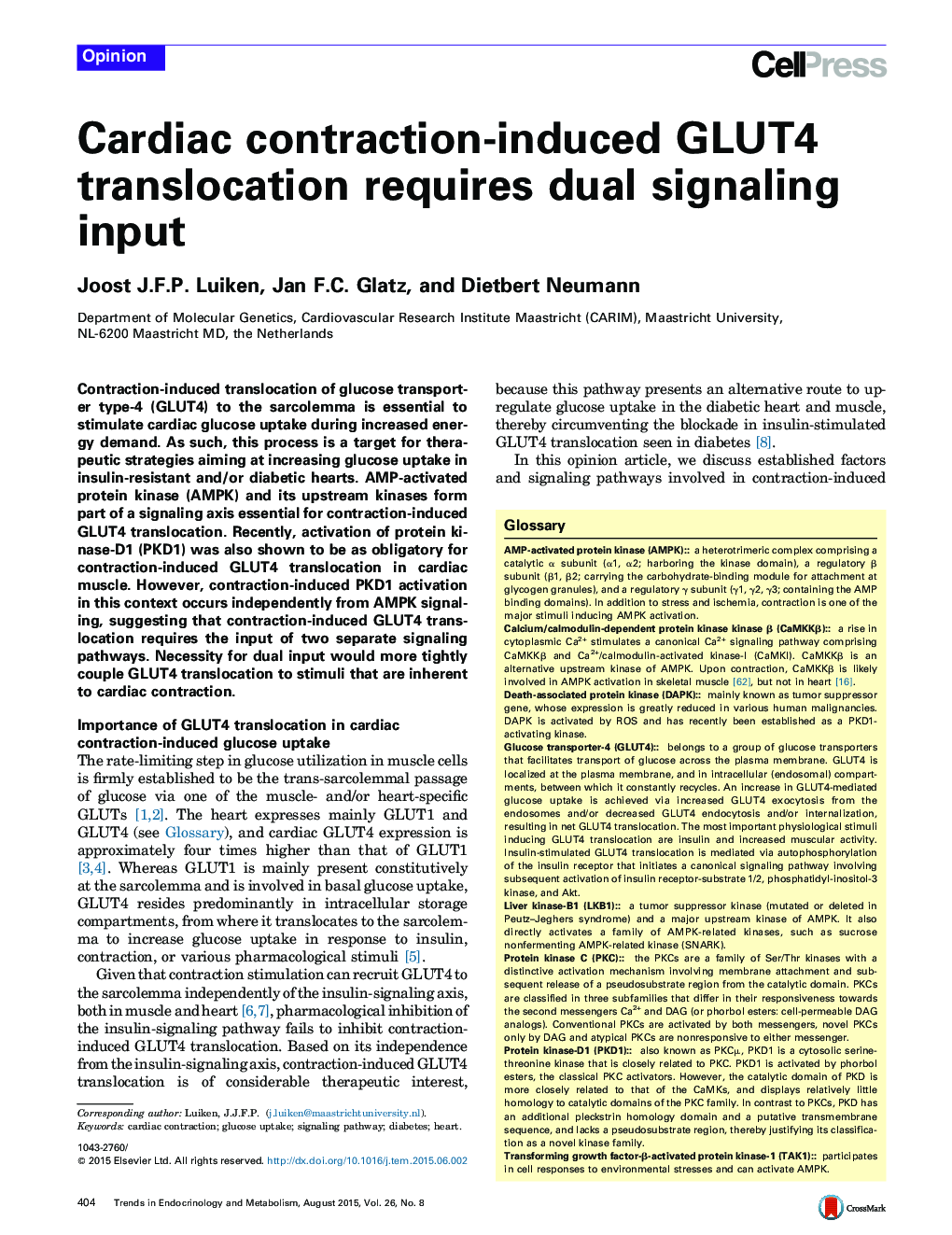 Cardiac contraction-induced GLUT4 translocation requires dual signaling input