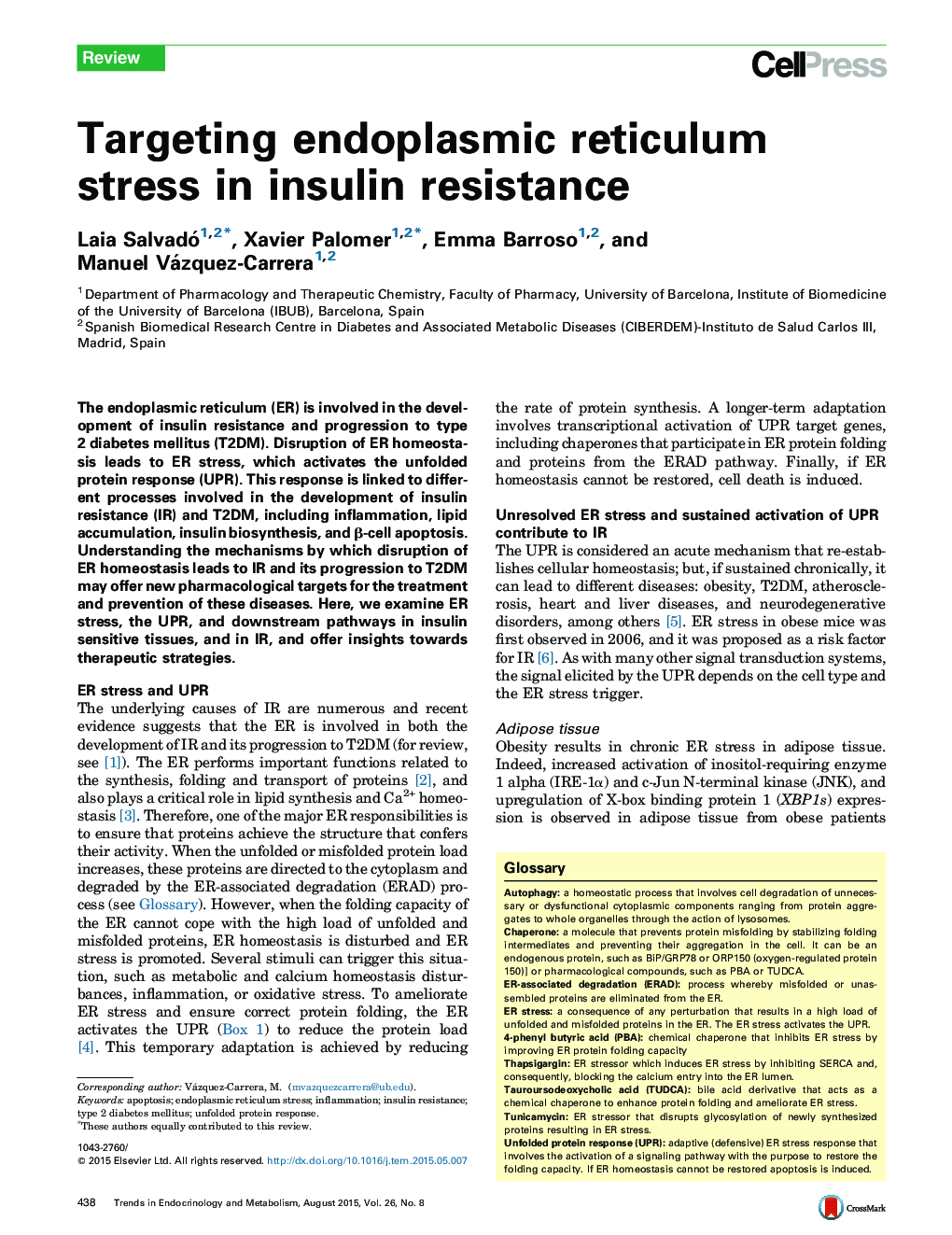 Targeting endoplasmic reticulum stress in insulin resistance